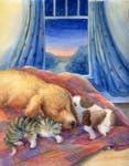 We All Sleep Cover
