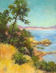 Coyote Point 11 x 14